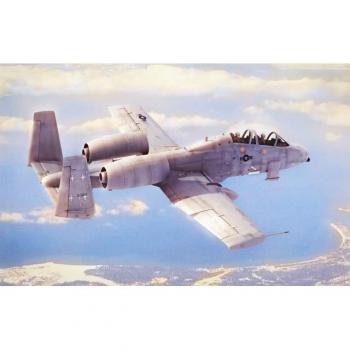 N/AW A-10A Thunderbolt II Flugzeugmodell