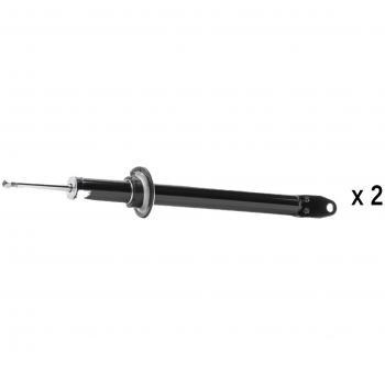 RIDEX 854S20352 Système d'amortissement