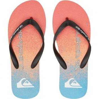 Quiksilver Molokai Art Flip-Flops