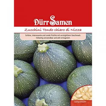 Zucchini-Saatgut Tondo chiaro di Nizza