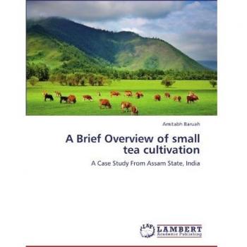 A Brief Overview of small tea cultivation