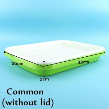 Vegetable Beans Germination Pot