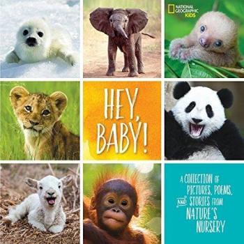 Hey, Baby!: A Collection of Pictures, Poems, and Stories from Nature's Nursery (Stories & Poems