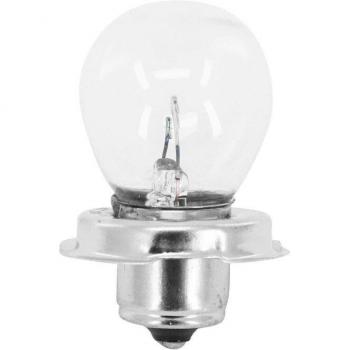 Standaard Flosser Gloeilamp P26s S3