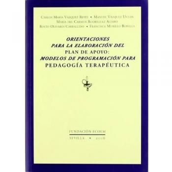 ORIENTACIONES PARA LA ELABORACION PLAN DE