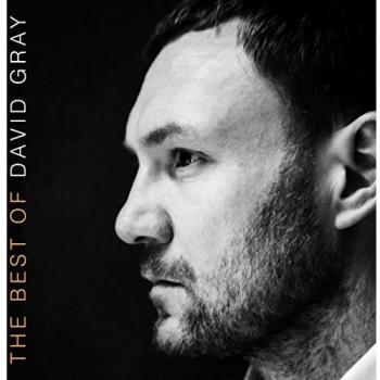 The Best Of David Gray [Vinilo]