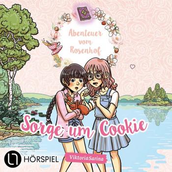 Sorge um Cookie