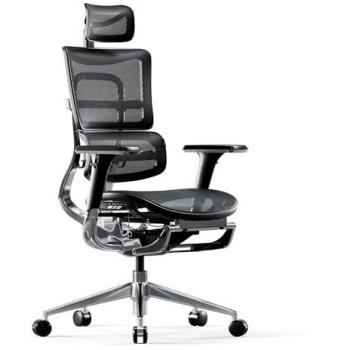 Diablo V-Master Chaise de Bureau Ergonomique Accoudoirs 3D Dossier Réglable