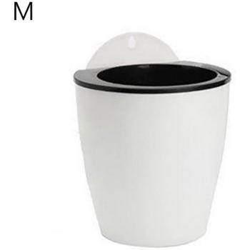 Potted Plant for Home Decor