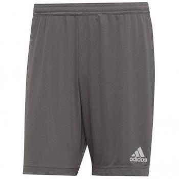 Adidas Entrada 22 Shorts Men's Grey XL