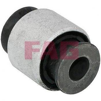 FAG control arm 829 0641 10