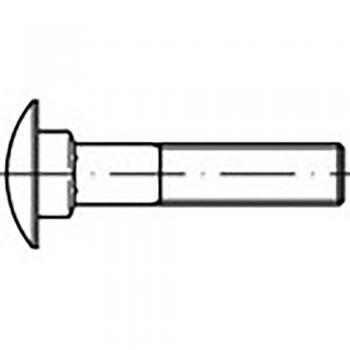Boulon Acier Galvanisé Tête Ronde M12 25 mm