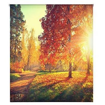 Estor Enrollable Paisajes Happystor 130x180cm