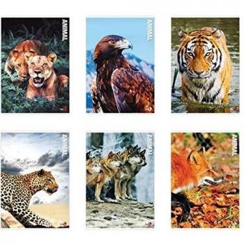Maxiquaderno Animal M61 A4 40 fogli 80gr 10mm BM