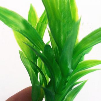 10pcs Rich Bamboo Water Plant for Aquarium Decoration