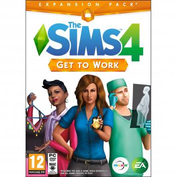 Sims 4 : Professionnel Plus – Pack DVD
