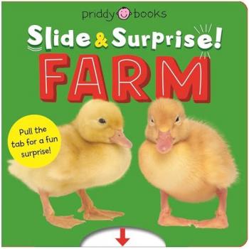 SLIDE AND SURPRISE FARM