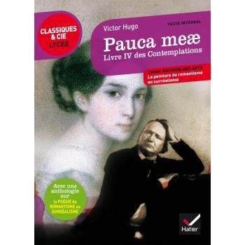 Pauca meae