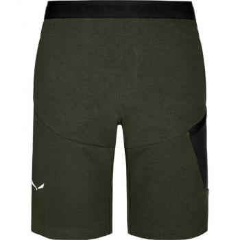Salewa Lavaredo Hanf Trainingsshorts