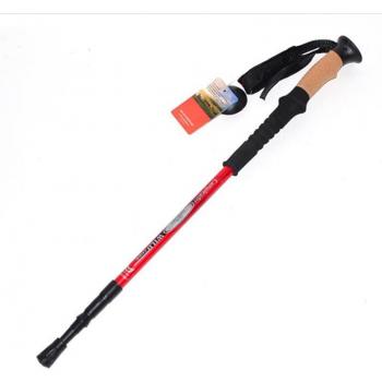 Anti-Shock Nordic Walking Pole