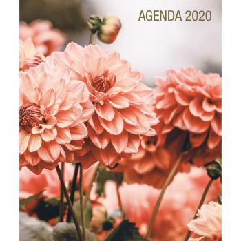Agenda Prier