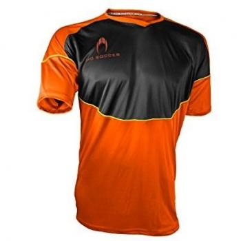 HO Soccer Legacy Torwart Trikot Herren