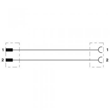 Câble PUR Phoenix Contact 30 cm 2 pôles