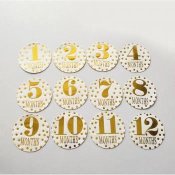 12pcs Monthly Baby Growth Stickers