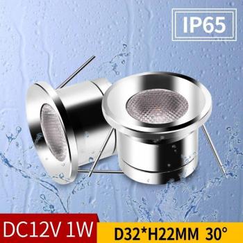 Waterproof 1W DC12V Recessed Spot Lights for Ceiling