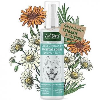 Aniforte Dentalspray – Zahnreinigung 100 ml