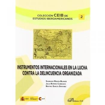 Instrumentos internacionales en la lucha contra la delincuencia organizada