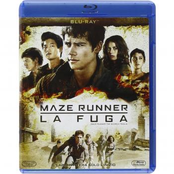 Maze Runner