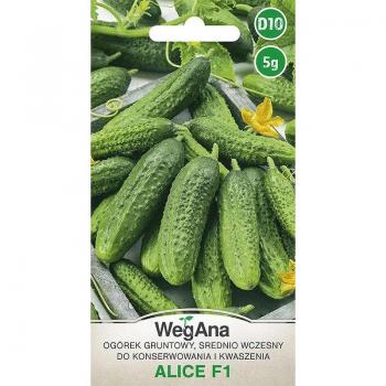 Concombre frais en pot Alice F1 5g