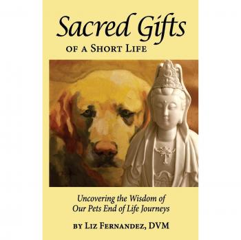 Sacred Gifts Of A Short Life: Uncovering The Wisdom Of Our Pets End Of Life Journeys