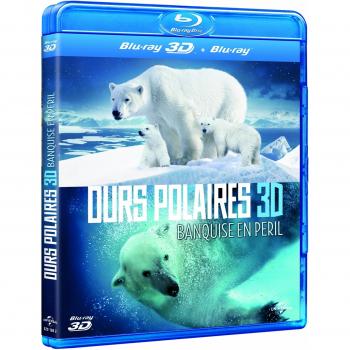 Ours Polaires 3d
