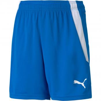 Puma TeamLIGA Kinder Trainingsshorts Blau 128