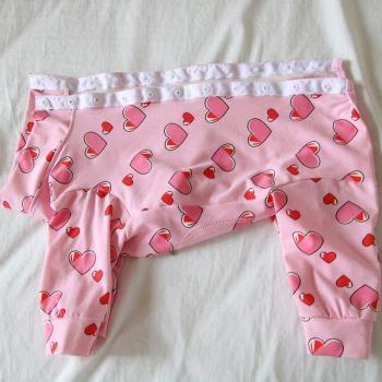 Poodle Pajama Set