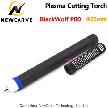 NEWCARVE P80 CNC Cutting Torch Machine