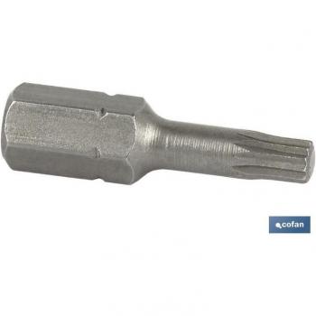 Bit XZN Extra 1/4 25mm N-8 (Kit com 10)
