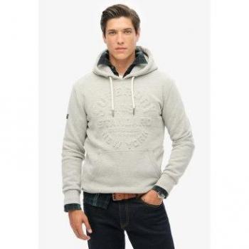 Superdry Graphic Hoodie in Pumice Stone for Men 2XL