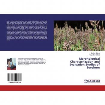 Morphological Characterization and Evaluation Studies of Sorghum