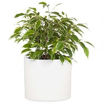 Vaso in Fiberstone Resistente UV