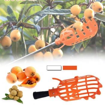 Erntewerkzeug für Obst