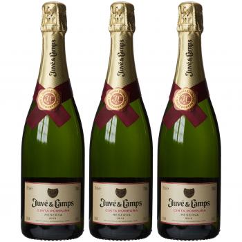Juvé y Camps Cinta Purpura Reserva Extra Brut 2016