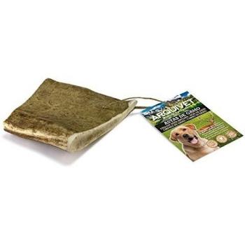Arquivet Snack Dental Asta De Gamo L