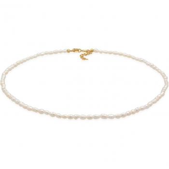 Elli Choker Halskette aus 925 Silber mit Süßwasserperlen