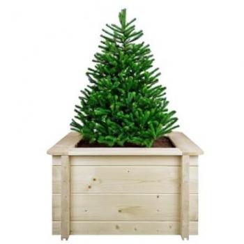 Aiola Sopraelevata in Legno di Pino