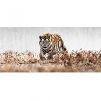 Verre Tigre Élégance