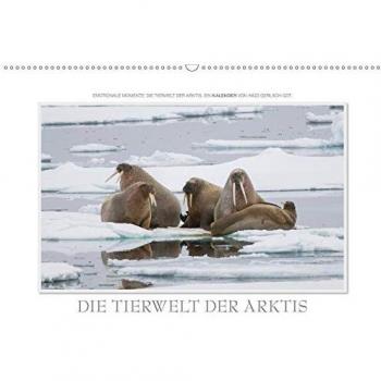 Emotionale Momente: Die Tierwelt der Arktis / CH-Version