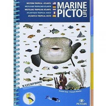Pictolife Guide Caribean Marine